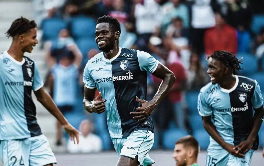 中往往会采, 决无疑是本